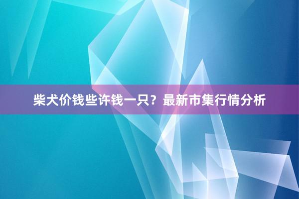 柴犬价钱些许钱一只？最新市集行情分析